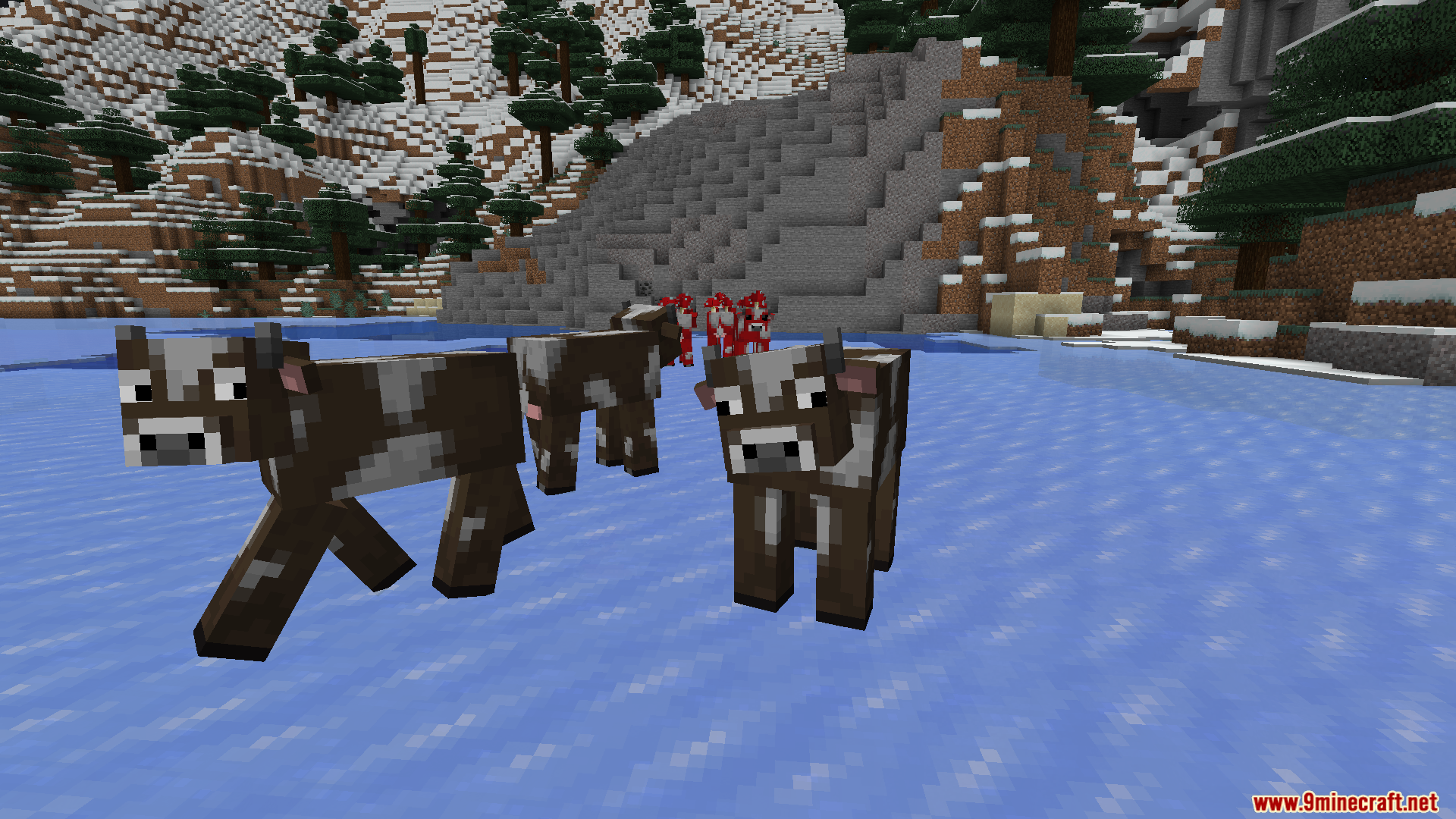 A herd of cows with new tails and ears