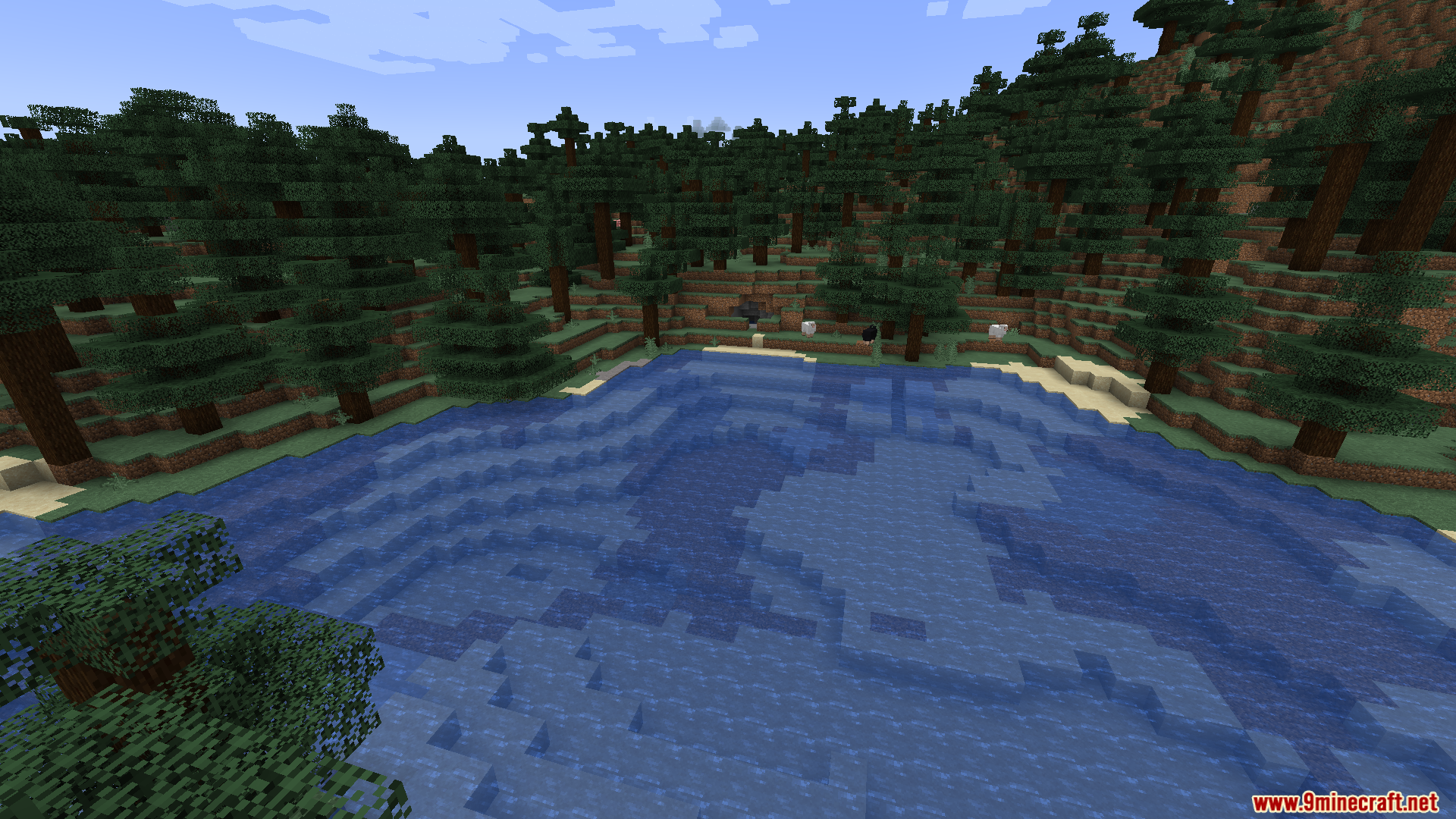 Calm blue lake surrounded by a spruce forest with sheep on the shore