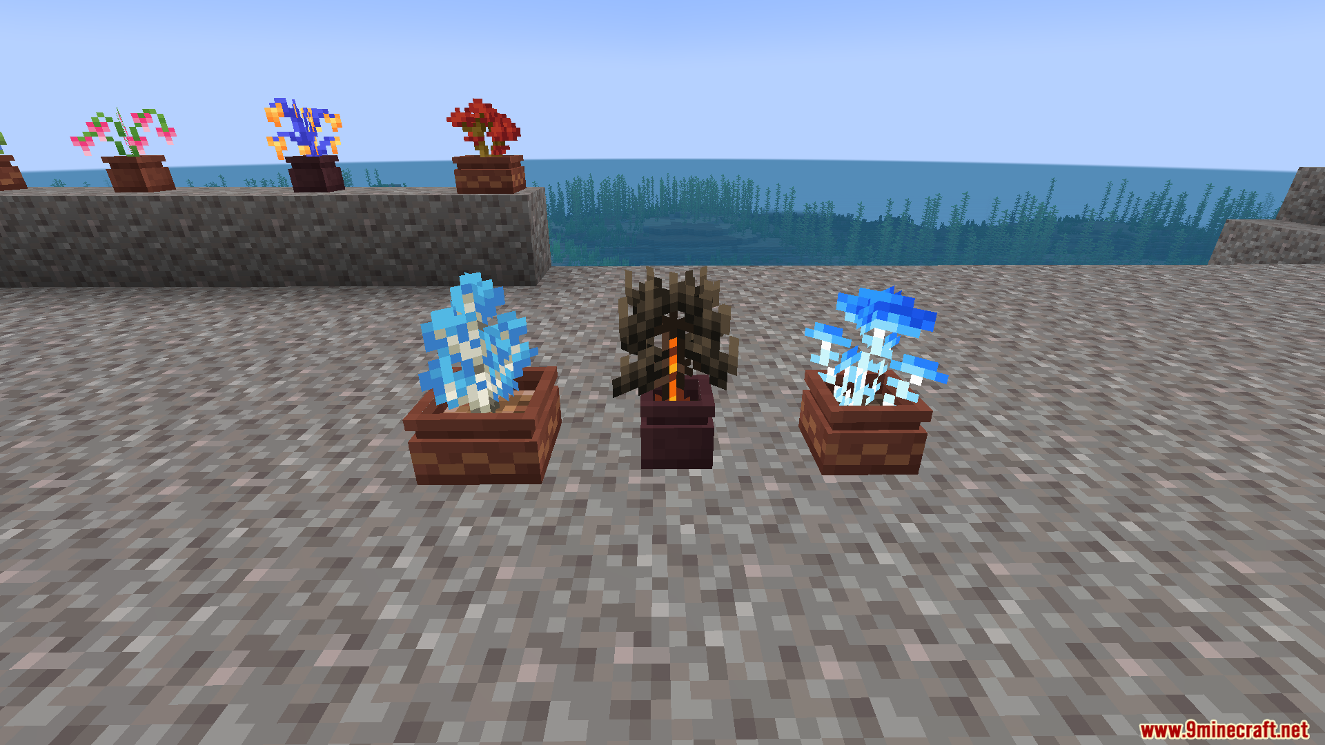 Glowing blue and dark thorny plants displayed in custom flower pots near water