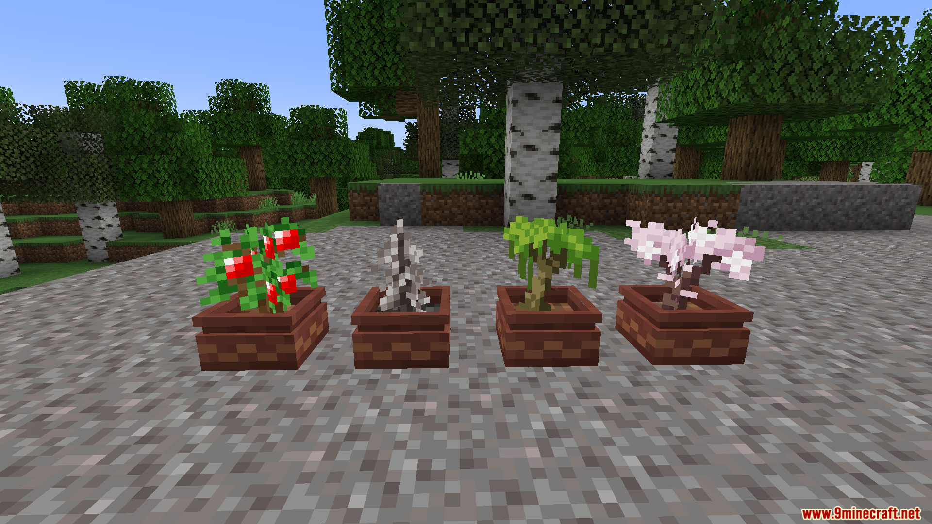 Custom flower pots containing a berry bush and various unique tree saplings