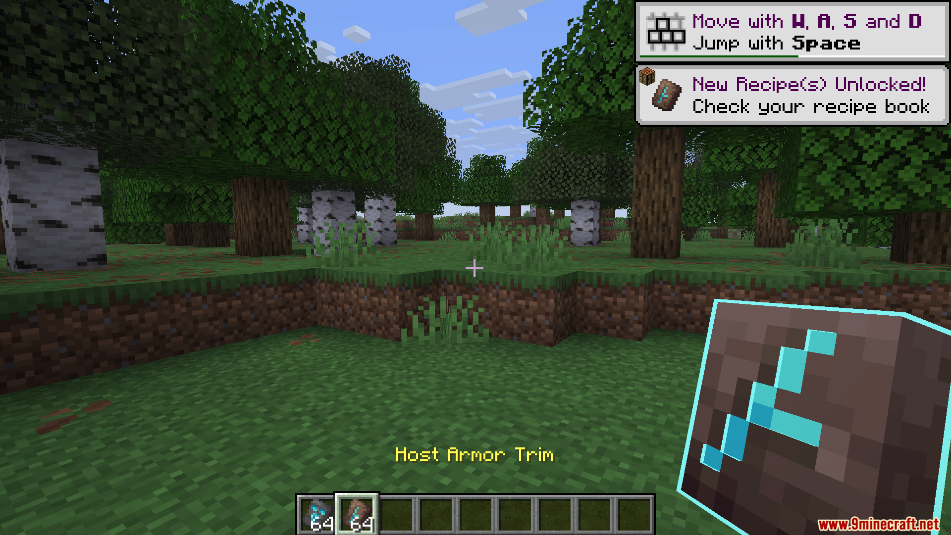 Fyoncles 3D Trims Resource Pack Screenshot 3 Player holding a 3D Host Armor Trim item with glowing blue details