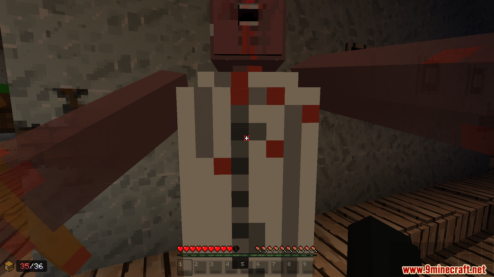 A terrifying close up of the scary grandma enemy's face