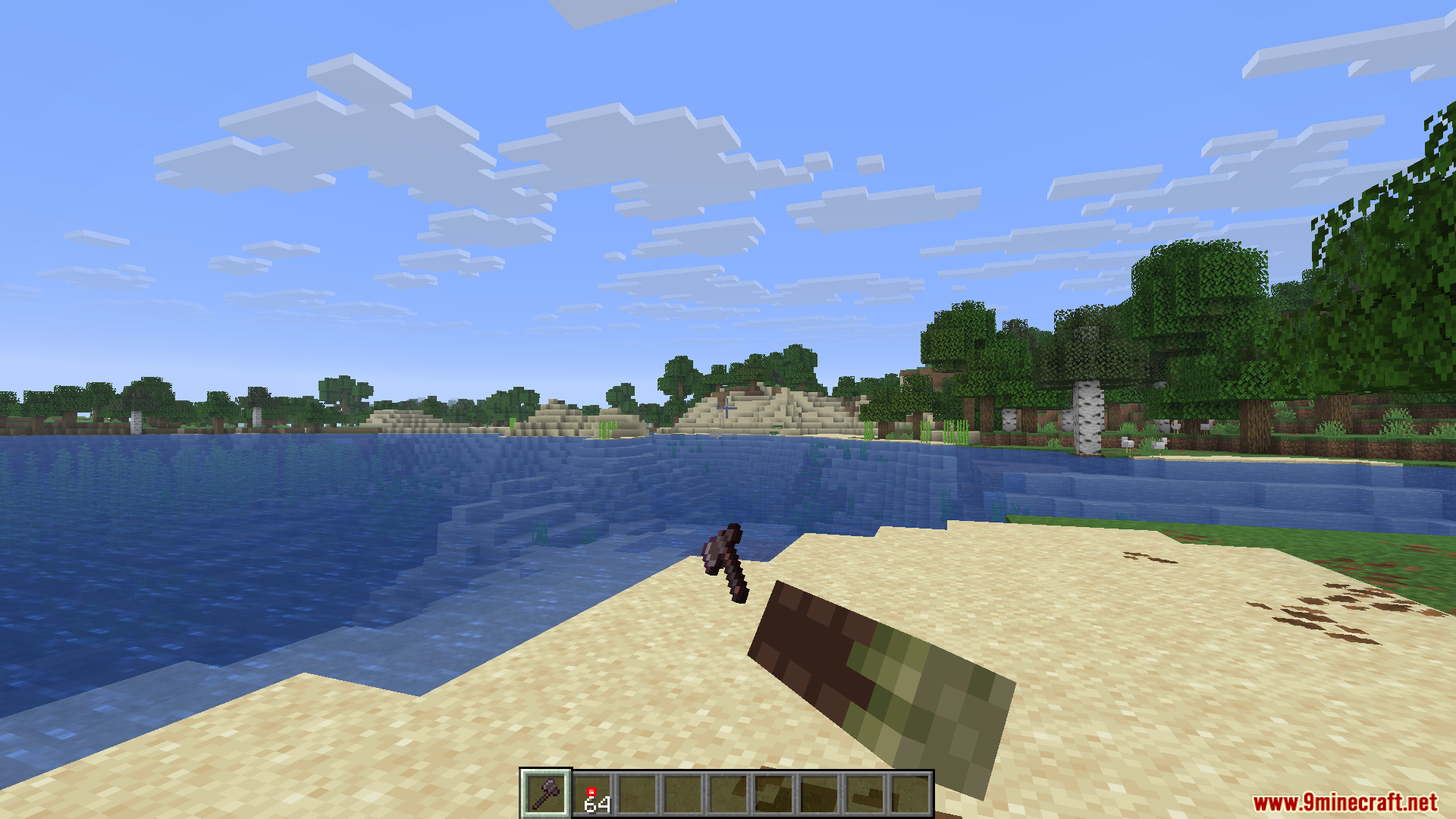HMI Pose Editor Mod Screenshot 10 Player displays a modified item pose while looking at a beach and ocean