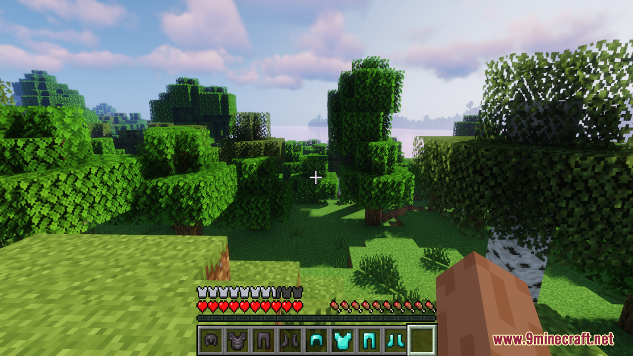 Hide Armor - See Player Skins Resource Pack Screenshot 2 First person view showing armor bar full but no visible armor