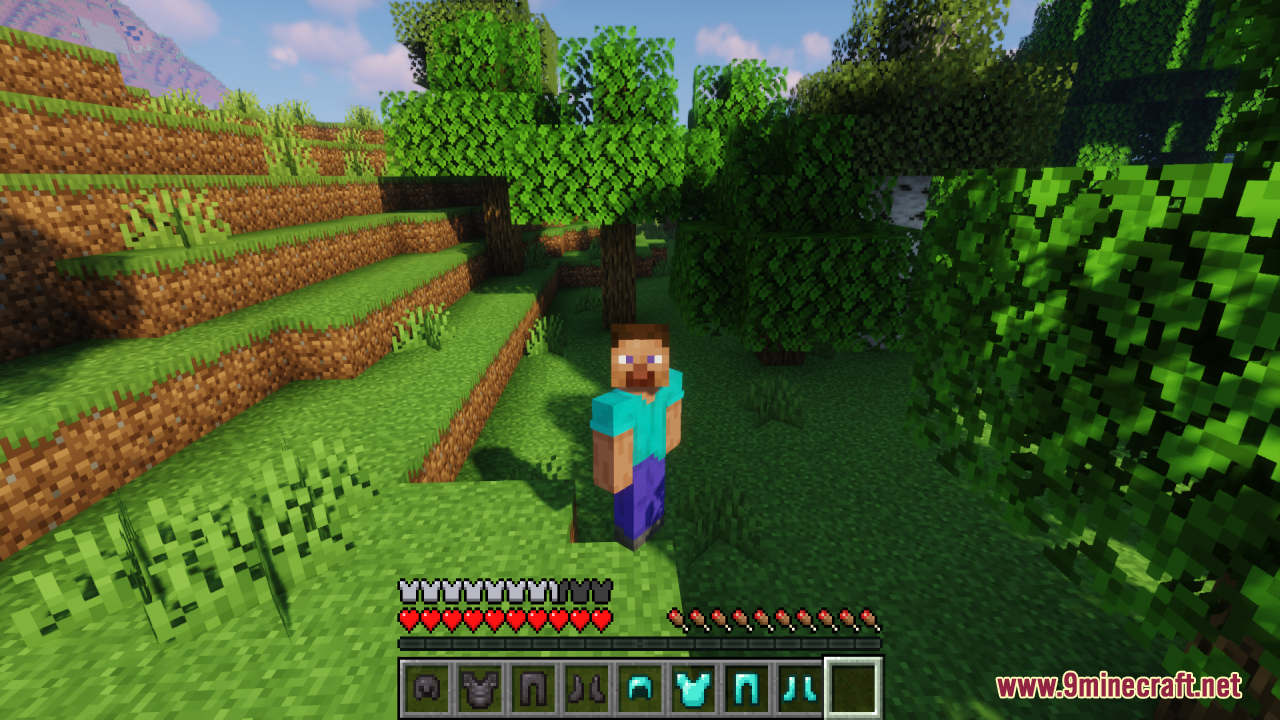 Hide Armor - See Player Skins Resource Pack Screenshot 3 Player character standing outdoors with invisible armor equipped and full protection bar