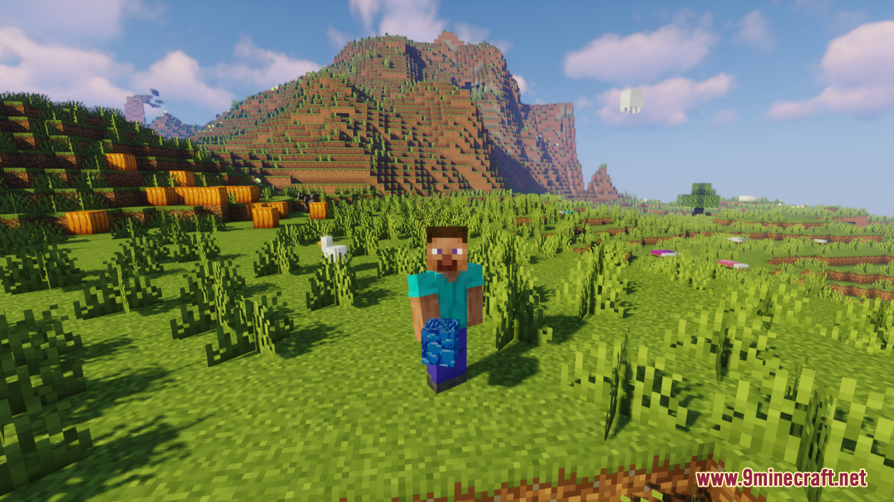 Steve holding the blue block in a large open field