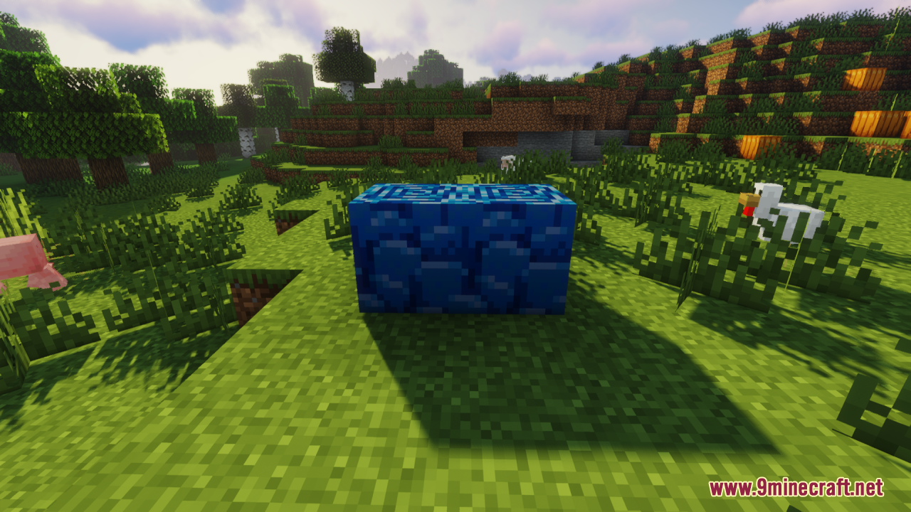 A bright blue block placed on the grass near a chicken