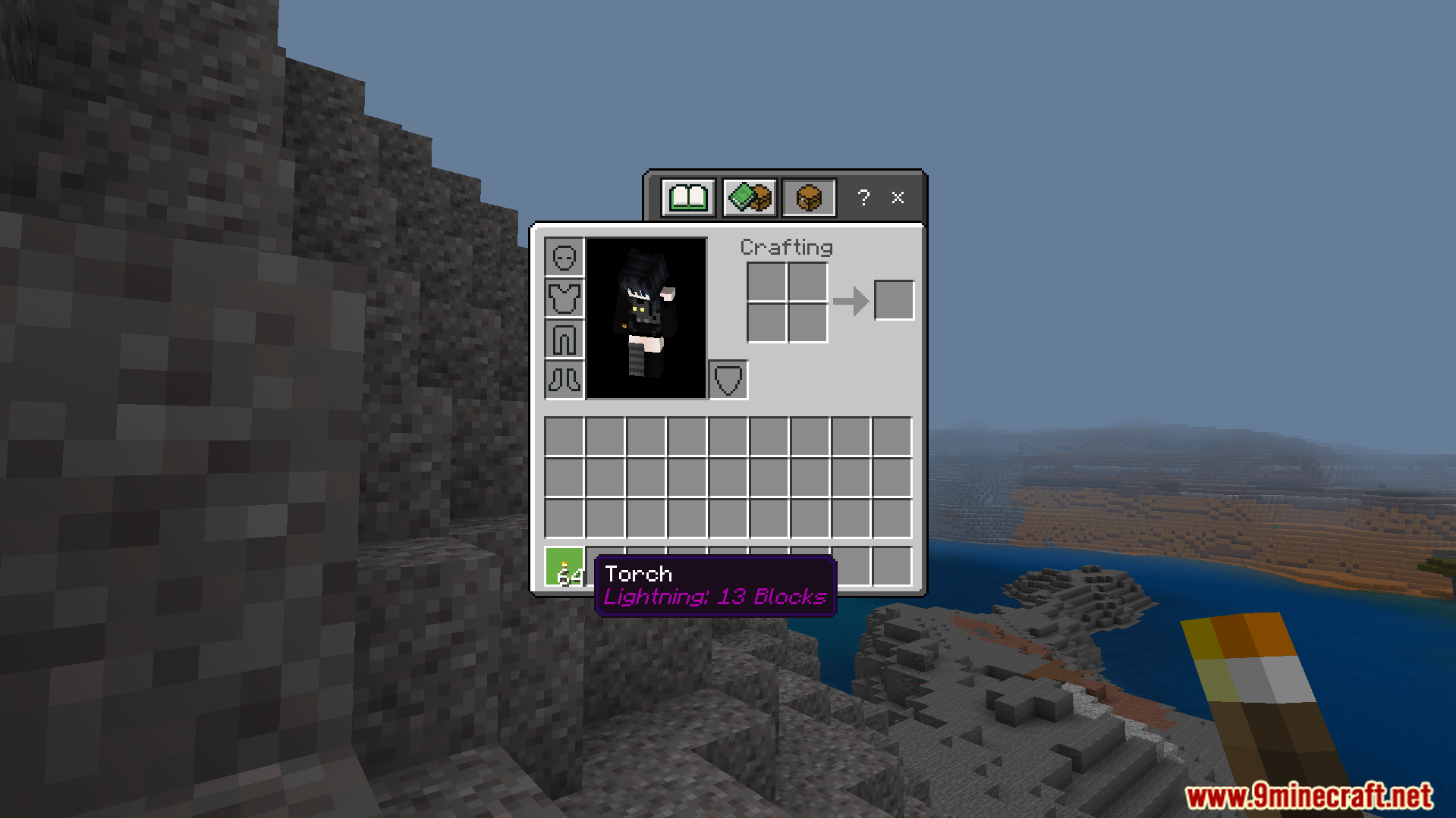 Player holding a torch with a custom tooltip showing light level in inventory