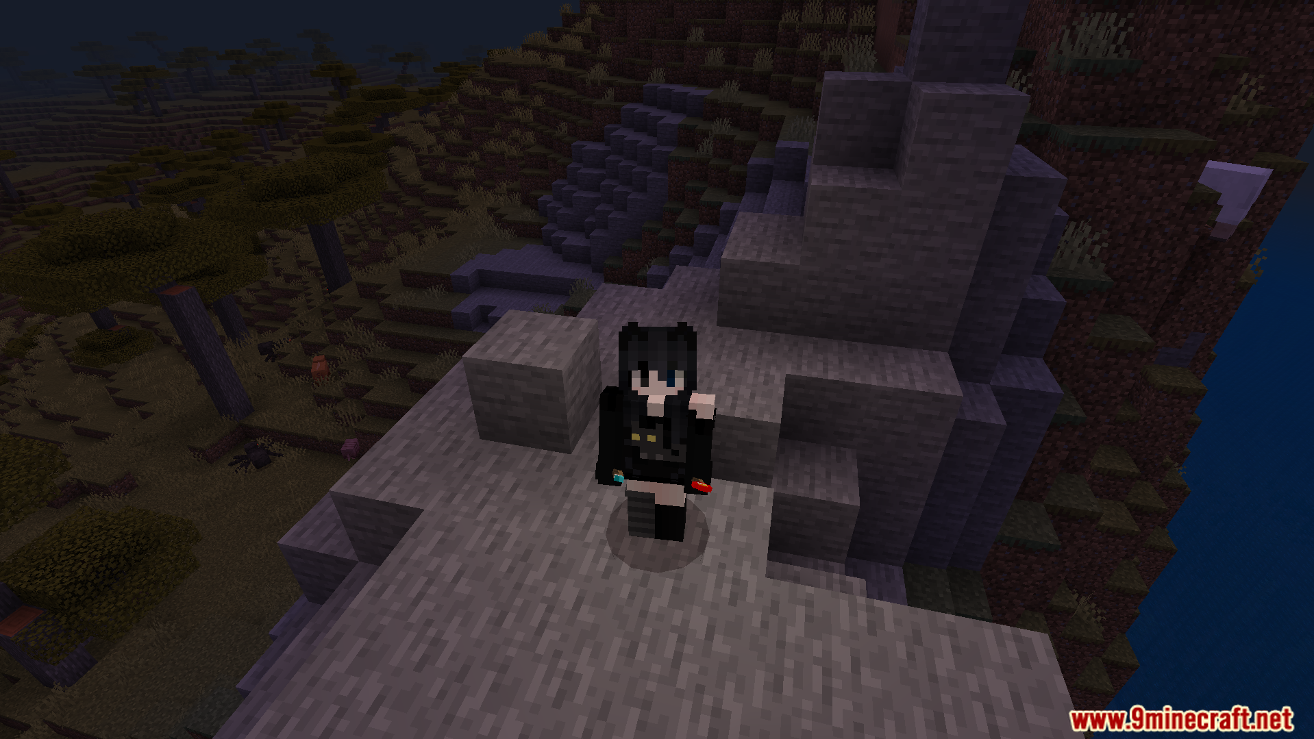 Player standing on a cliff in the game