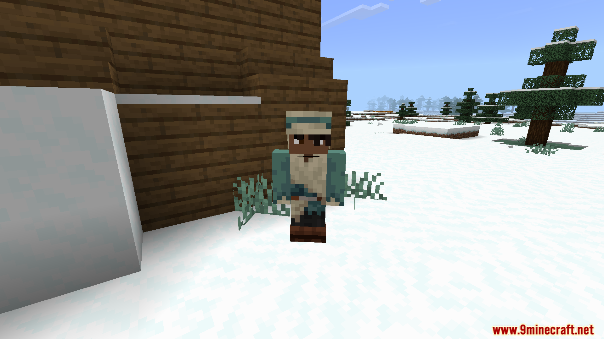 A villager changed into a unique human player model