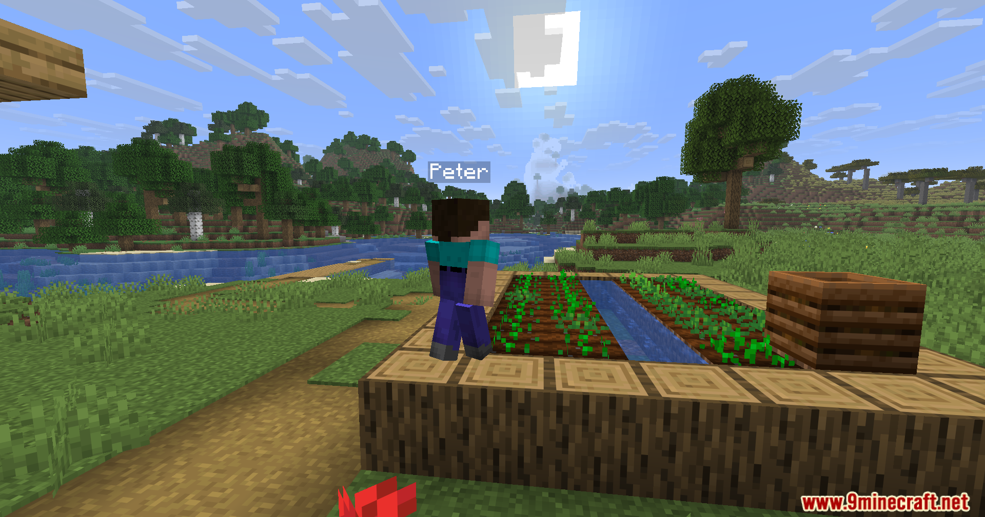 Humanoid Villagers Mod Screenshot 7 A humanoid villager named Peter standing next to a farm plot with crops