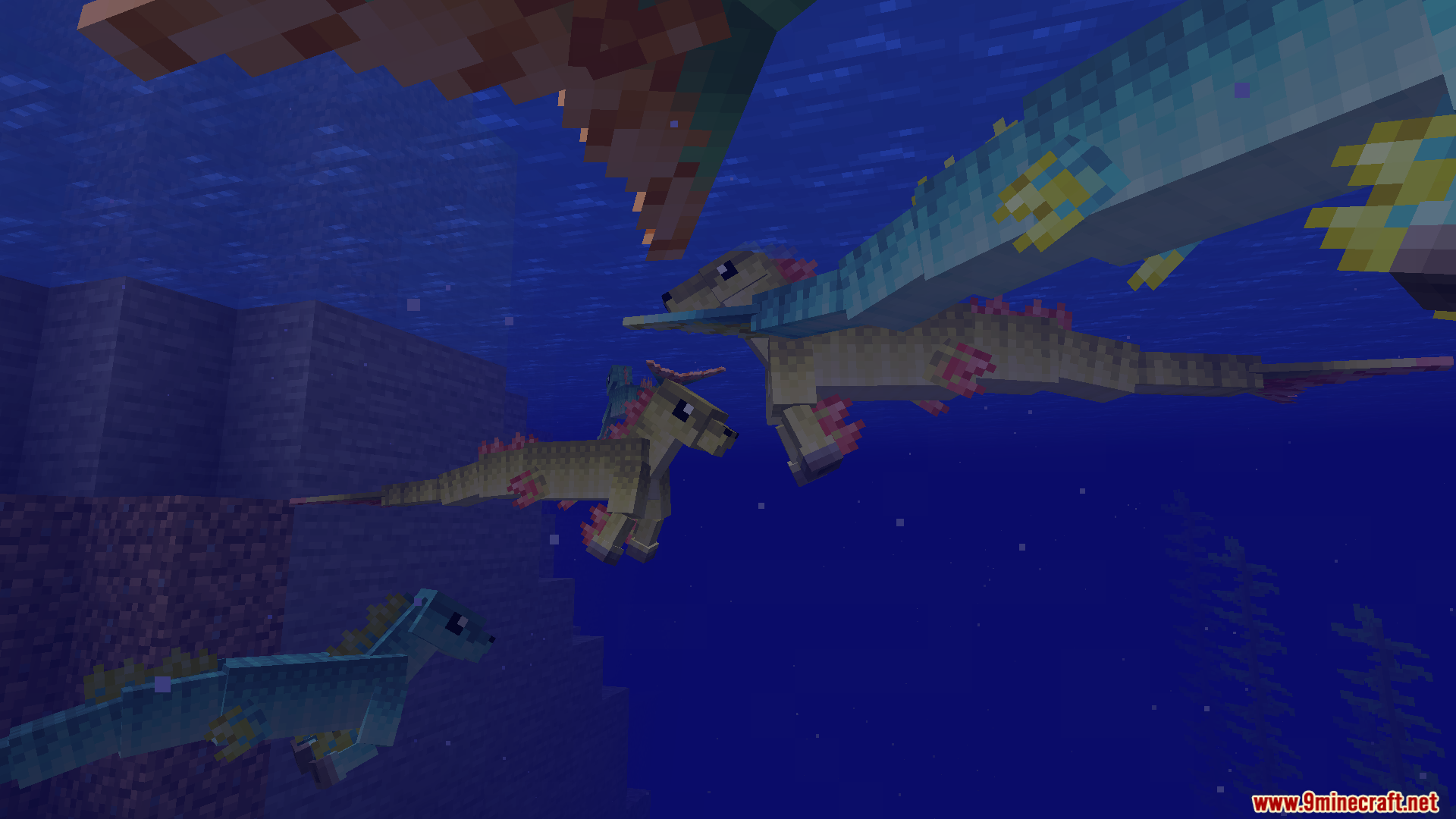 A family of hippocampus mobs swimming in the ocean