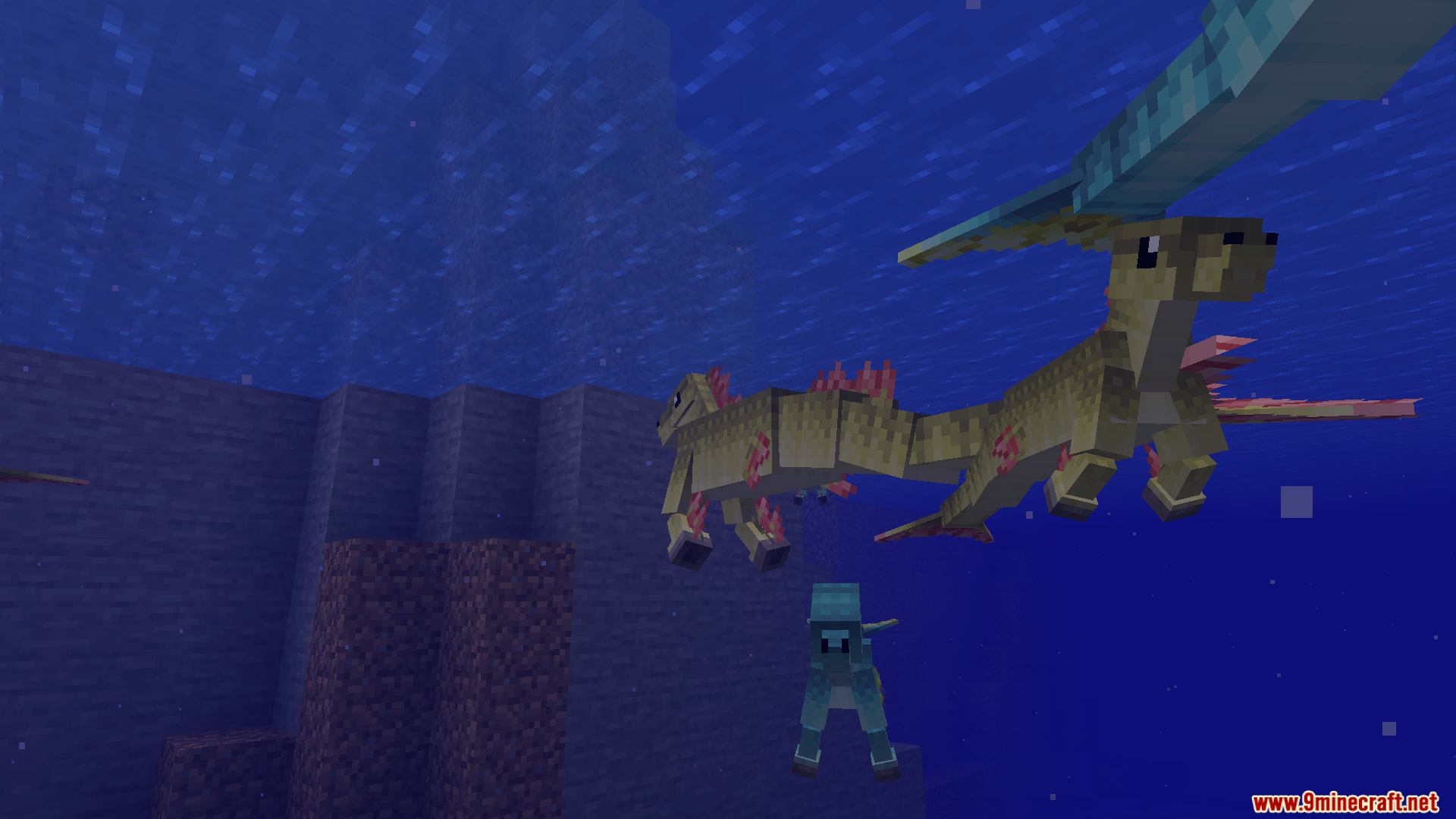 A large hippocampus and a small one swimming together
