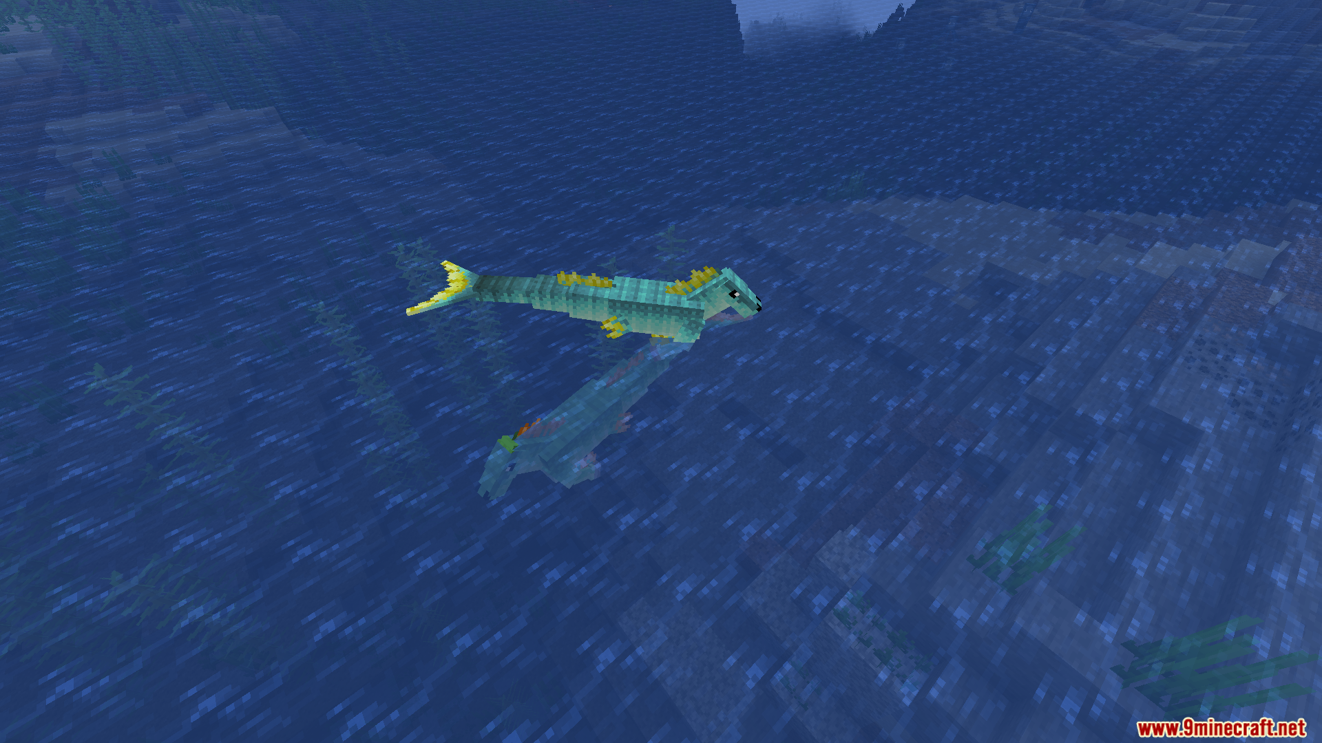 A green hippocampus swimming just below the water surface