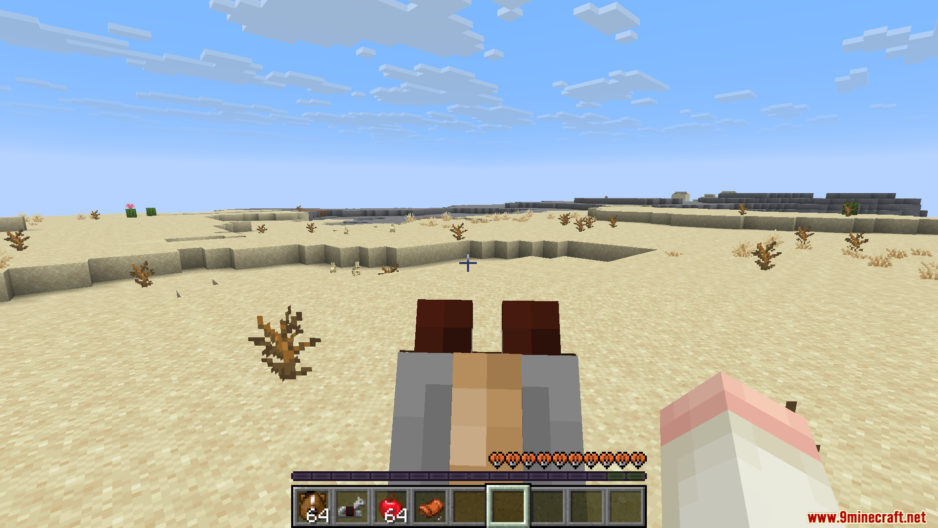 Immersive Horse Riding mod's first-person view on horseback