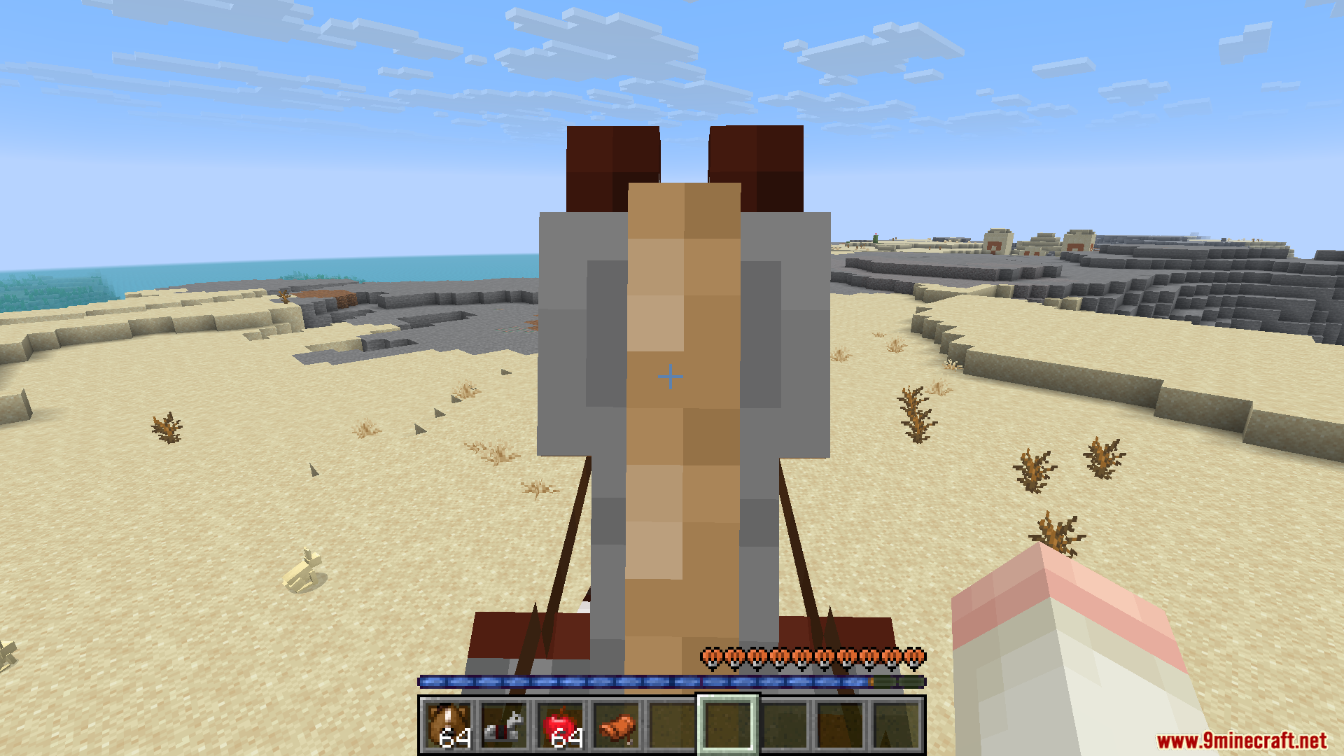 A realistic first-person perspective while riding a horse