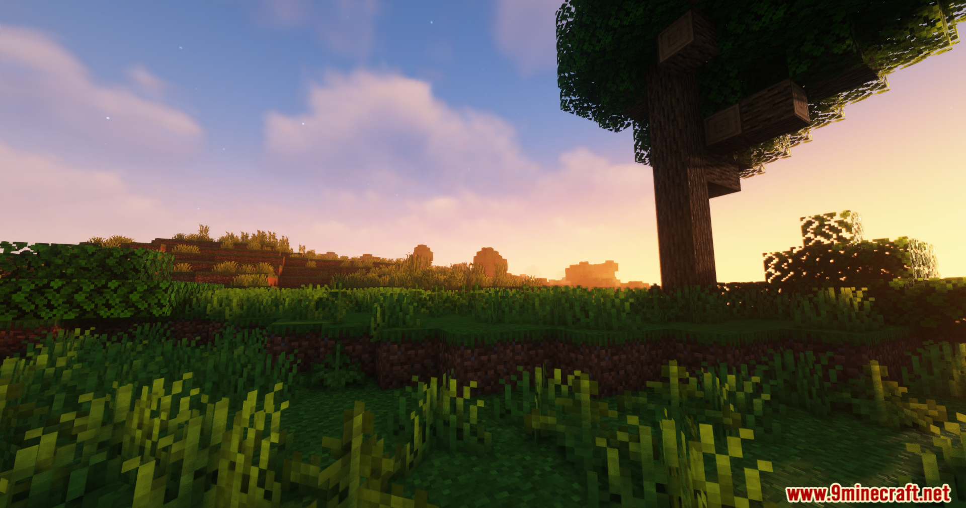A Minecraft landscape at sunset with trees and grass