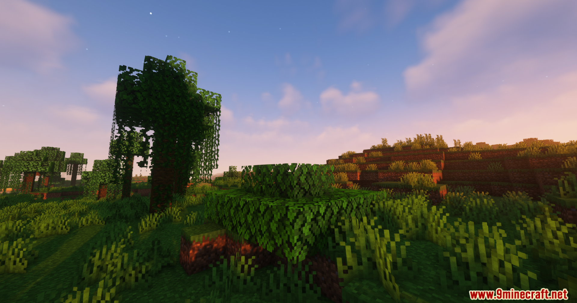 Minecraft landscape with a large vine covered tree and bushes at sunset