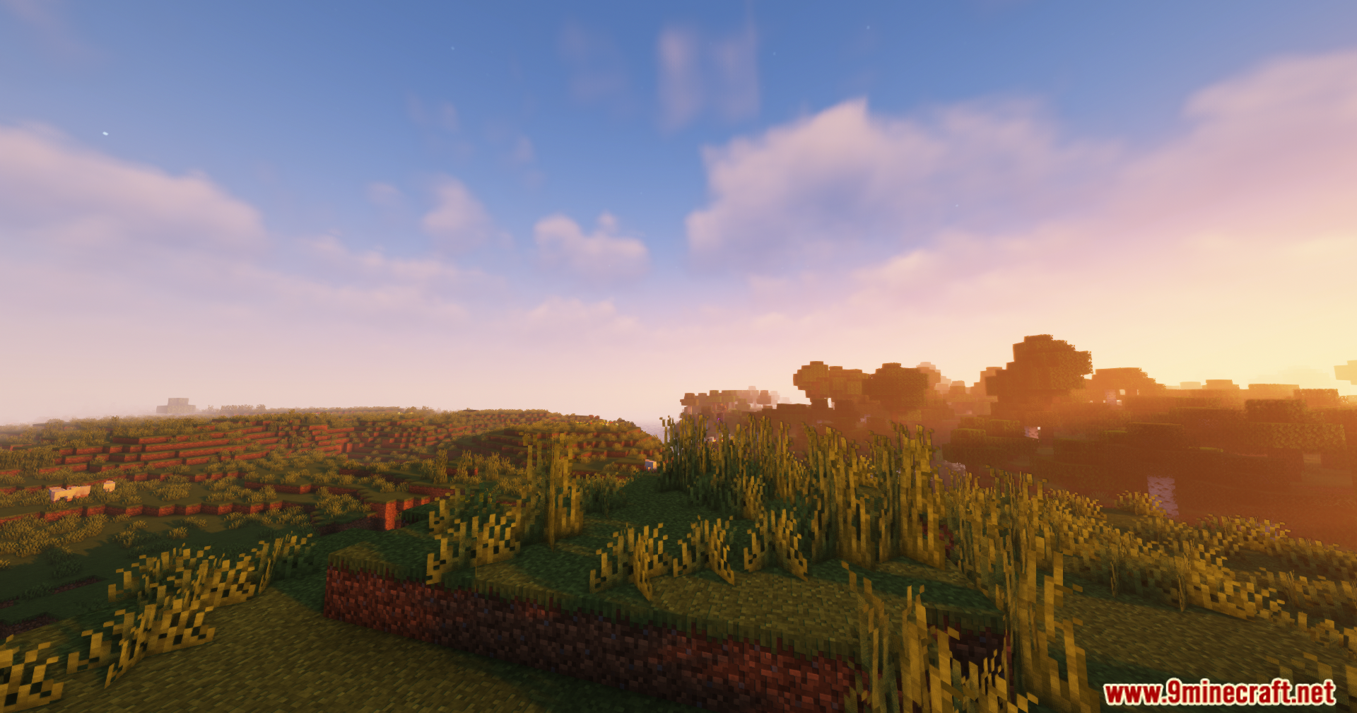 Sun setting over a grassy Minecraft plains biome with rolling hills