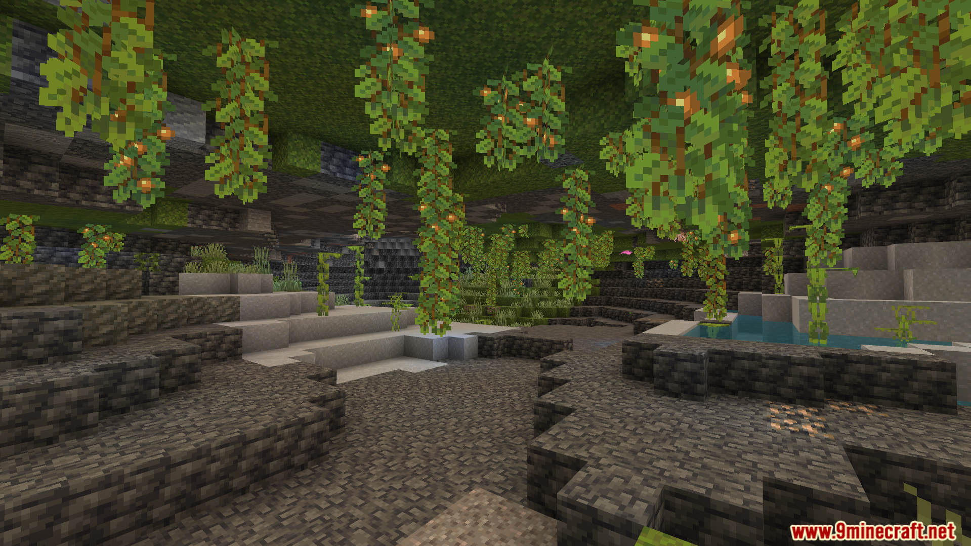 Instant Fullbright Night Vision Addon Screenshot 3 Lush cave biome with glowing berries hanging from the ceiling
