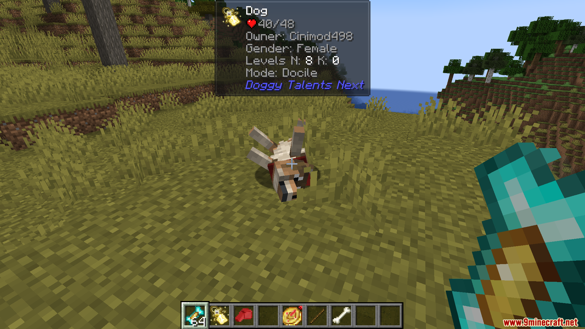 A tamed dog lies on its back while its detailed stats are displayed