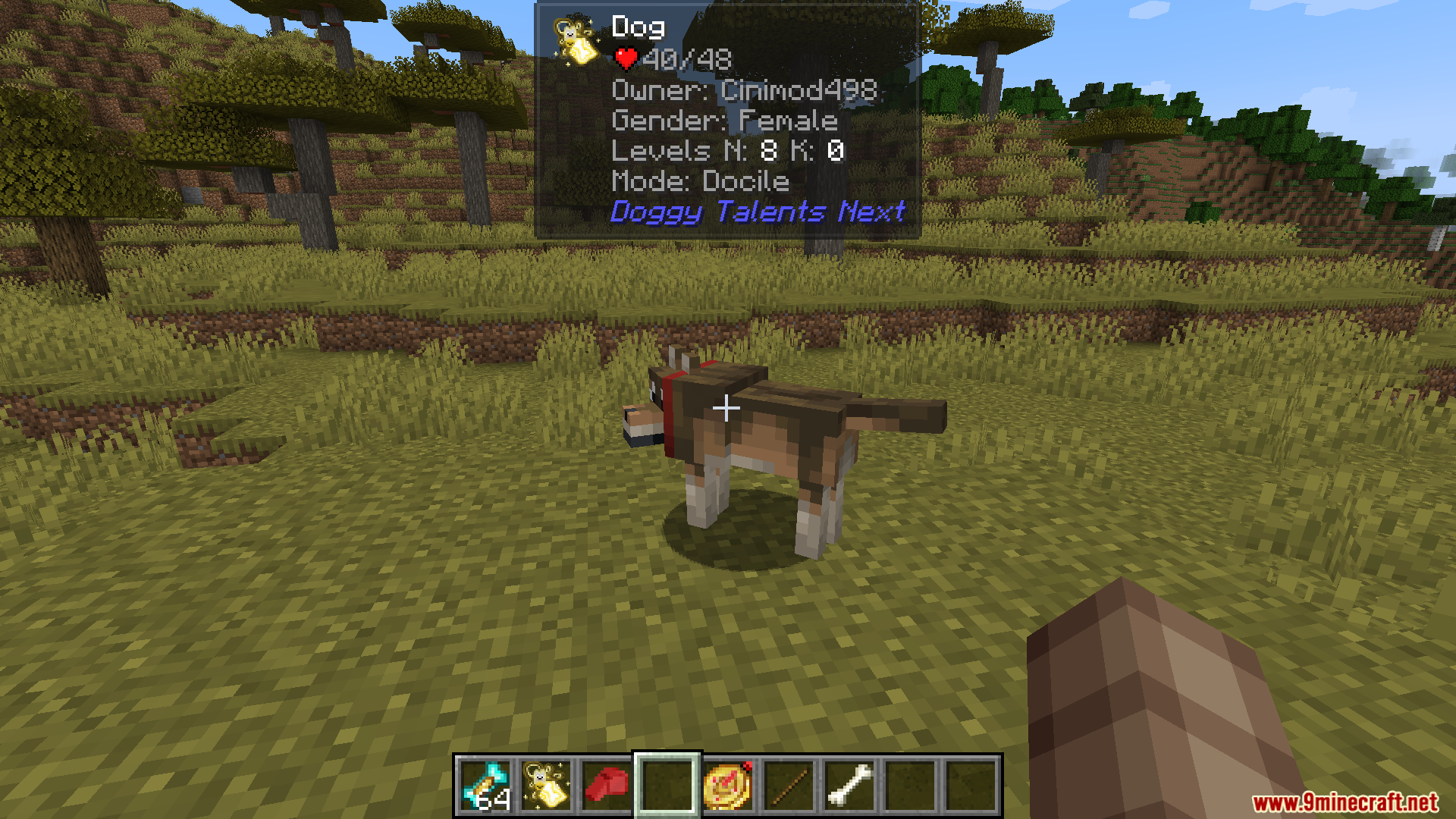 A player looks at a tamed dog, revealing its gender and other stats
