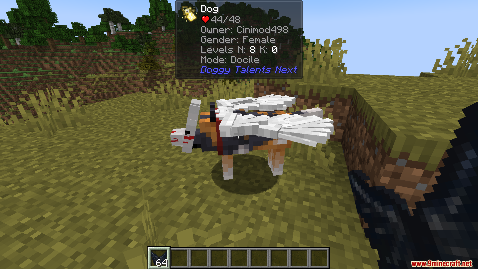 Side view of winged dog wearing a mask showing detailed pet information