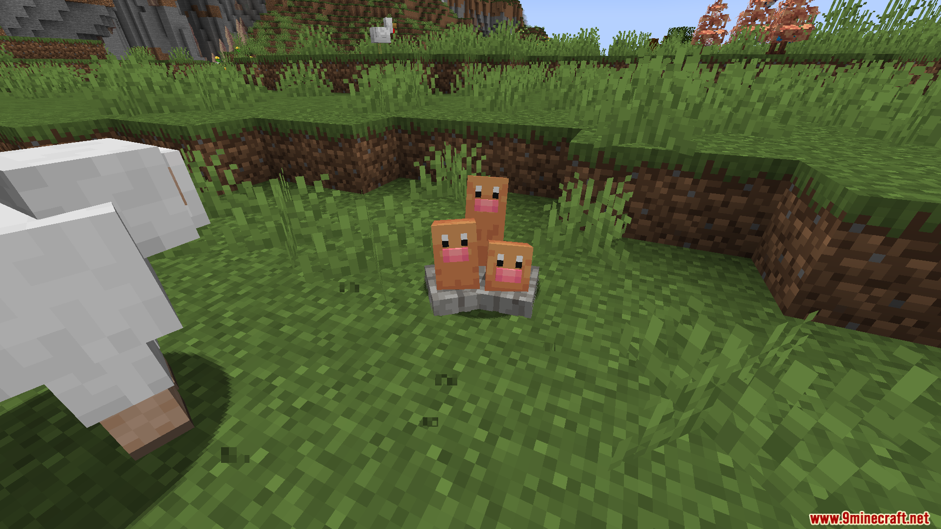 Three small Diglett mobs sitting in a stone nest