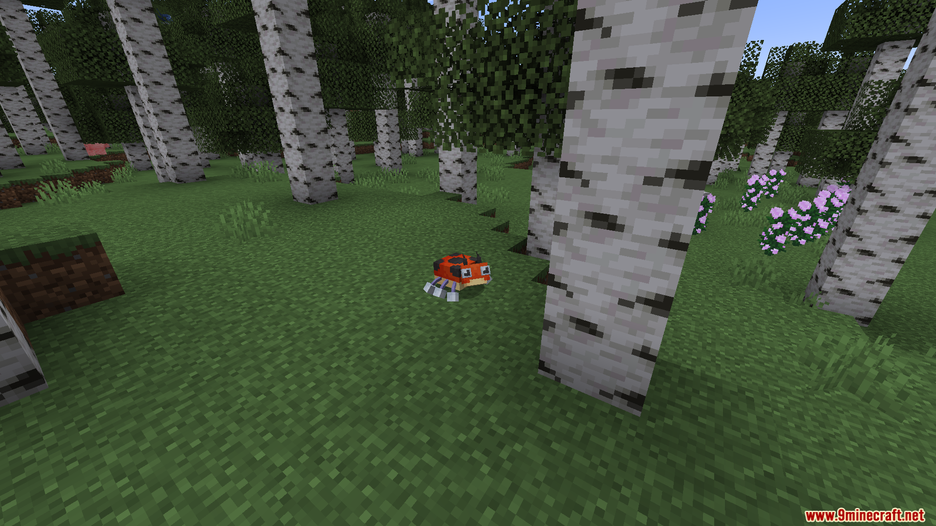 A wild Krabby mob in a birch forest biome
