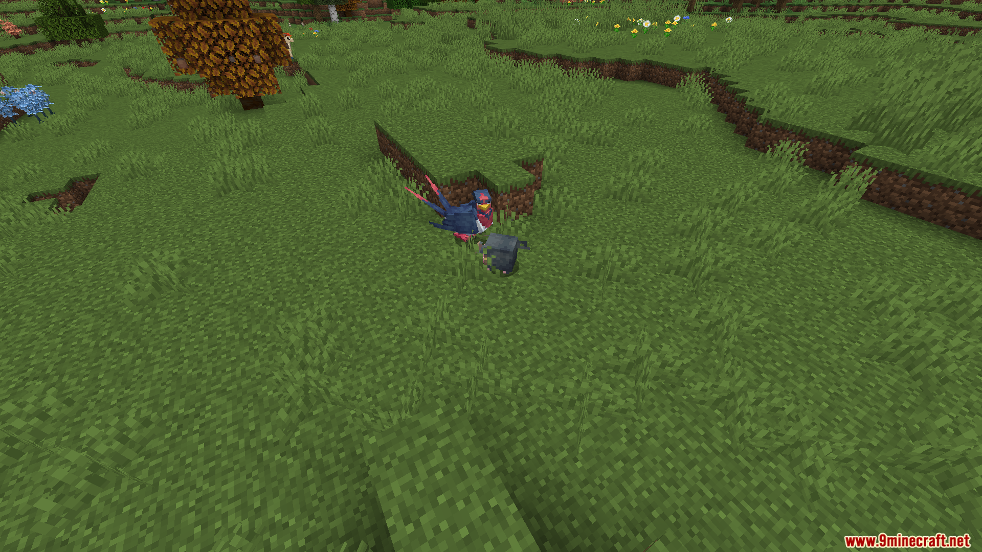 An Archeops mob attacking a Roggenrola on the grass