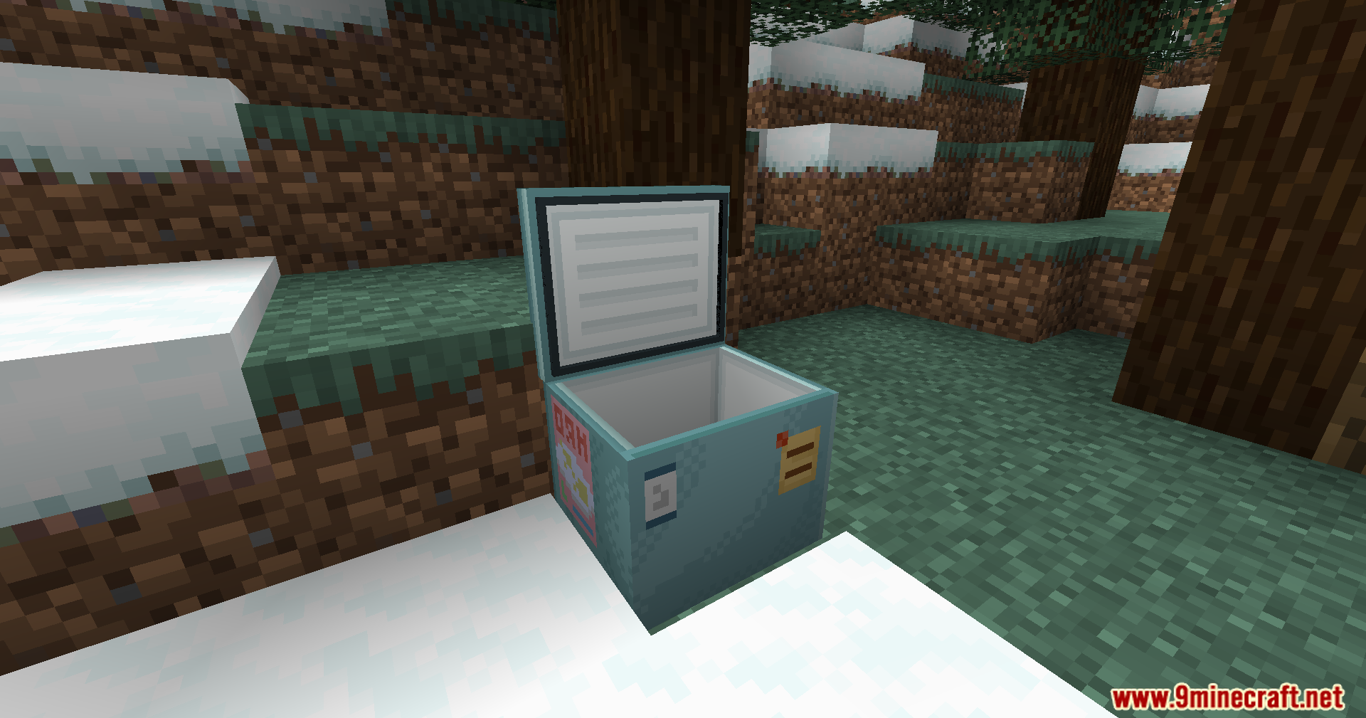 An open chest