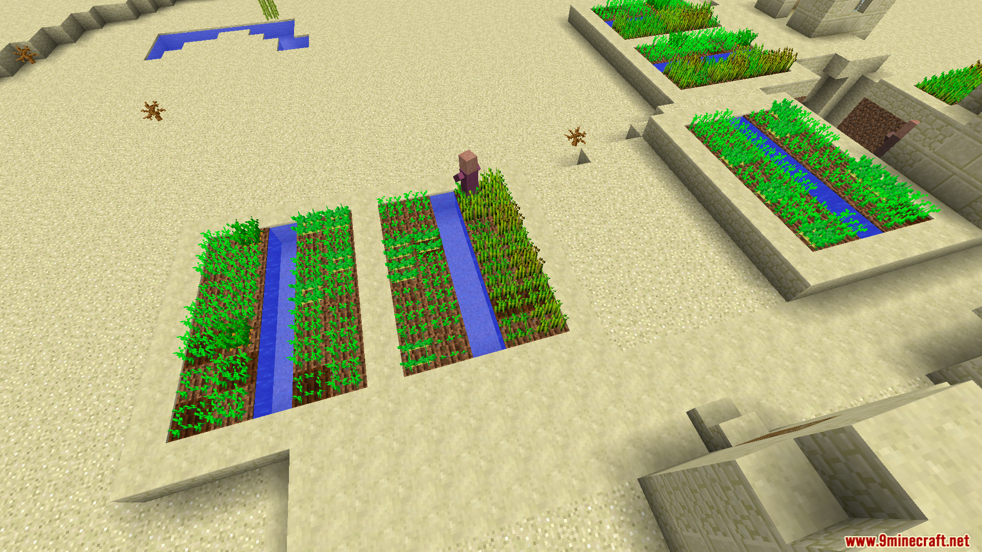 Overhead view of irrigated crop farms in a desert village