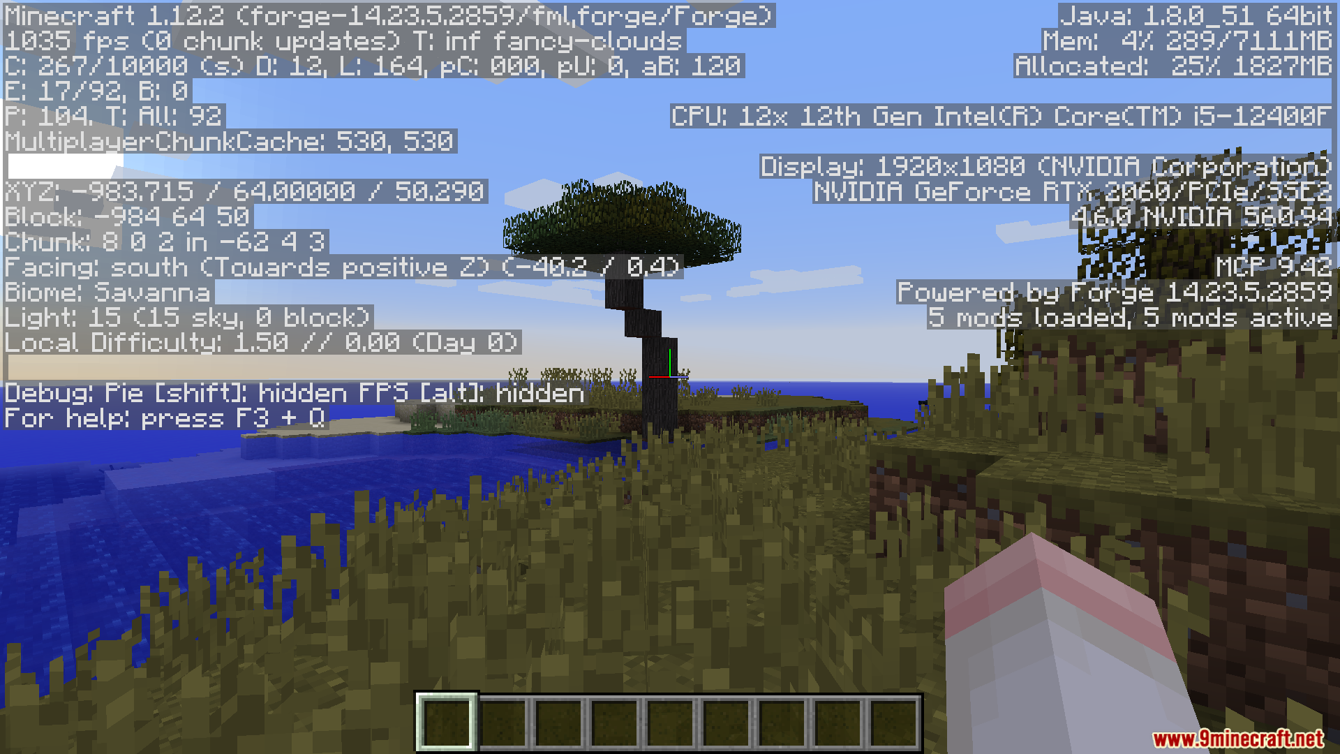 High FPS gameplay in a savanna biome