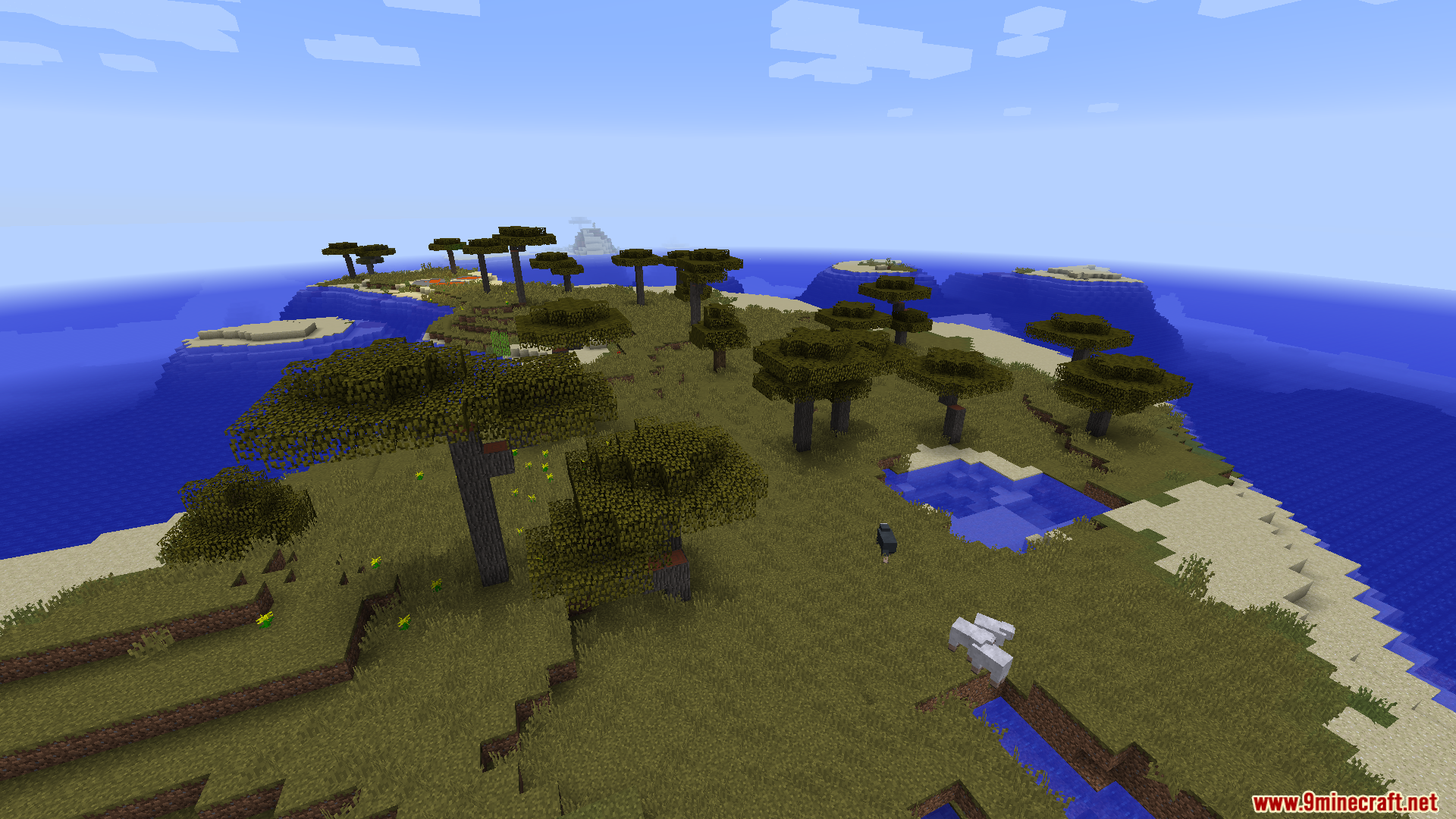 A Savanna island biome with Acacia trees and sheep