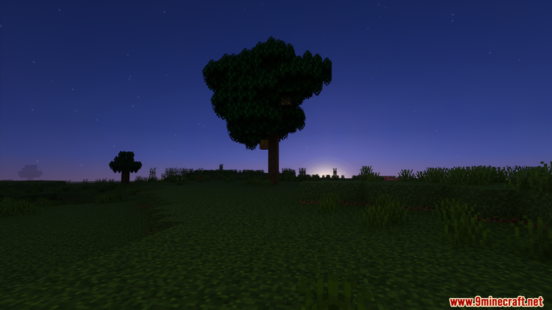 Bushy leaves give this tree a more natural shape at night