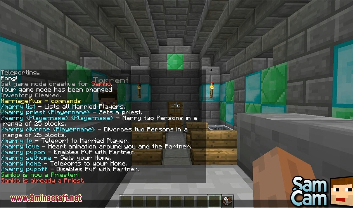 MarriagePlus mod commands listed in the chat interface