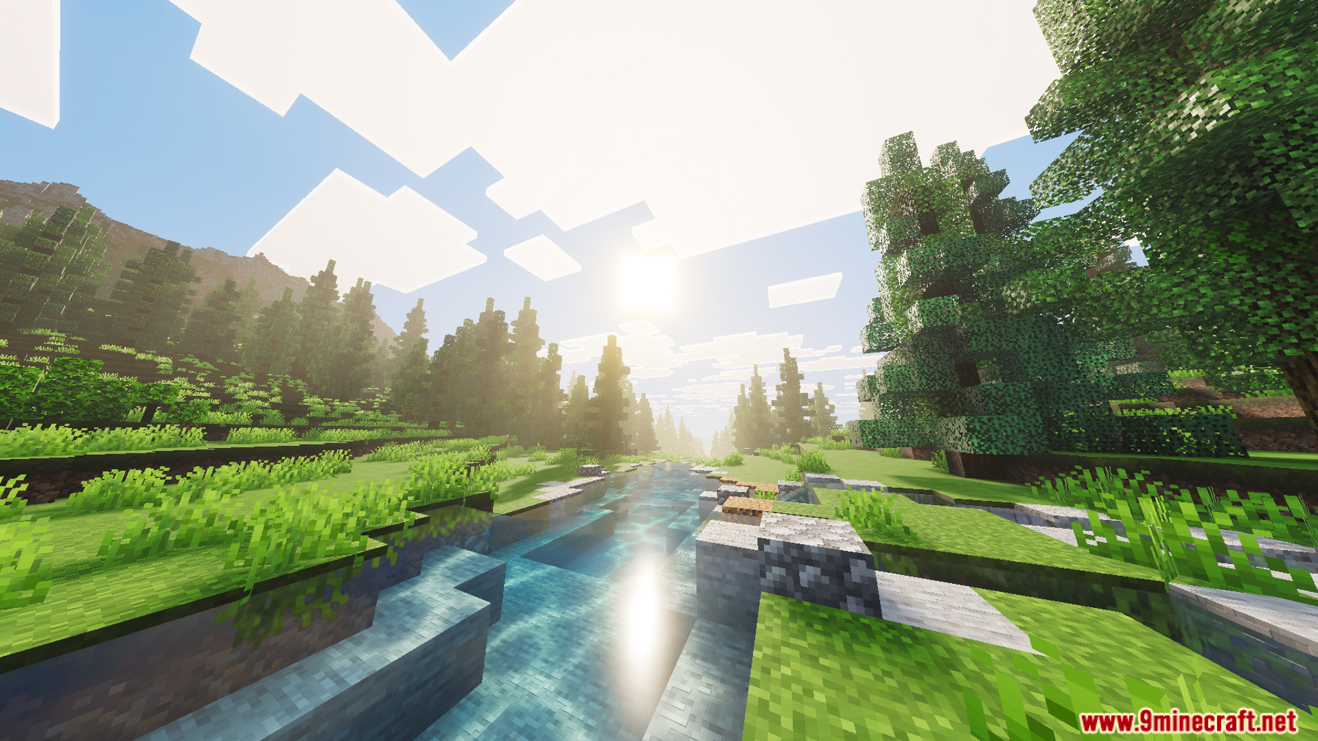 Sunlight shines over a river flowing through a lush green forest landscape
