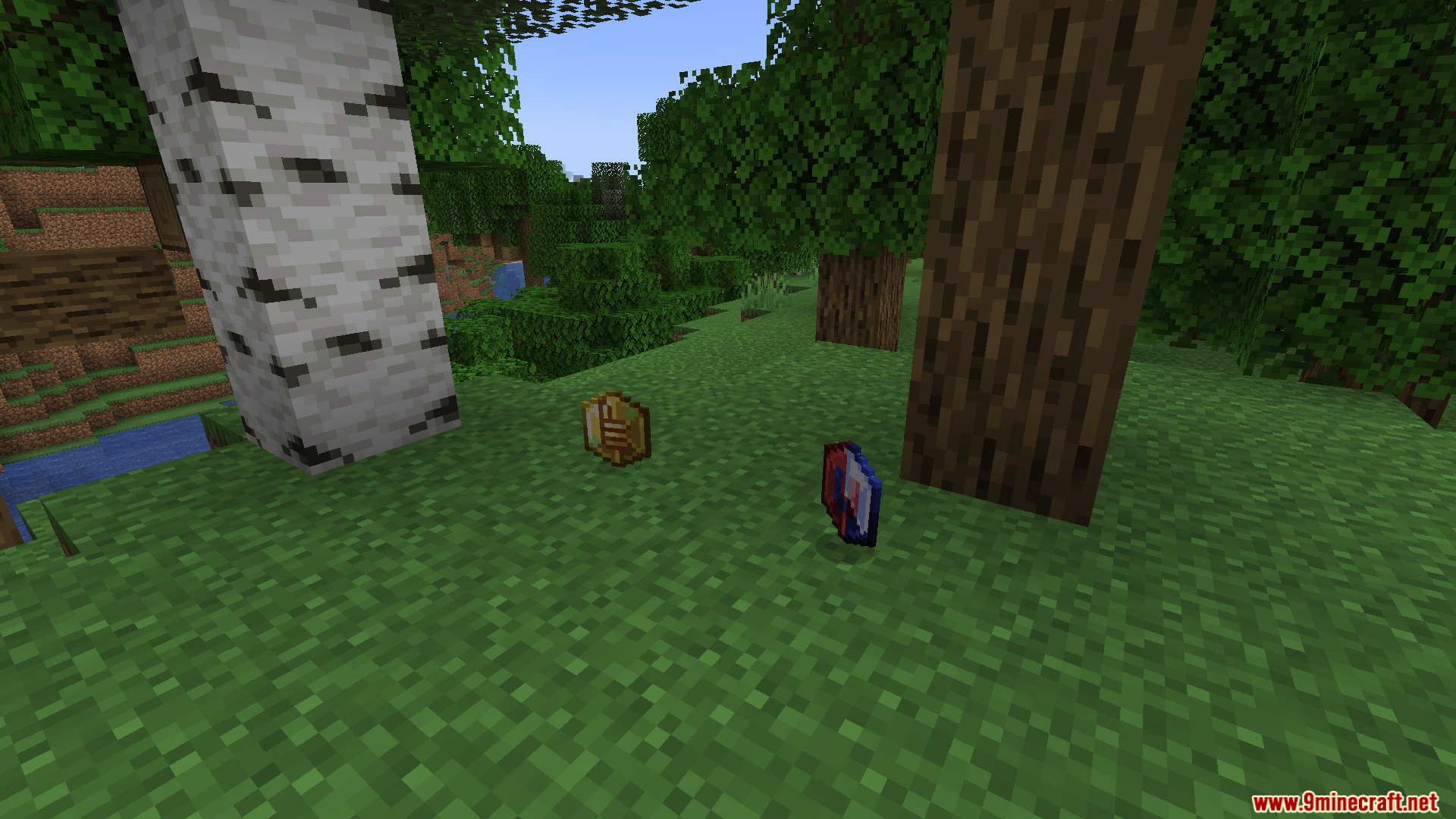 Mine Fargo Mod Screenshot 1 Two dropped items, a gold coin and a blue gem, on grass