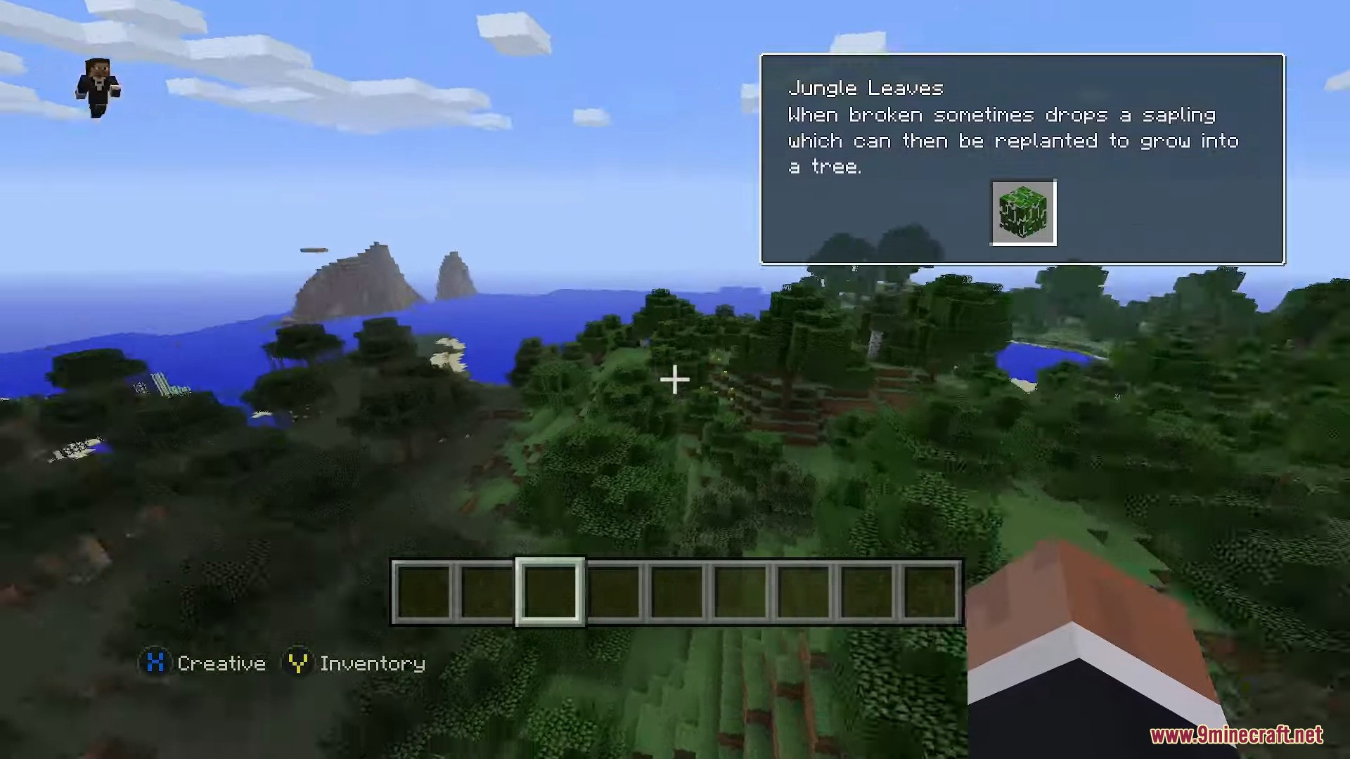 Minecraft Consoles Launcher Screenshot 9