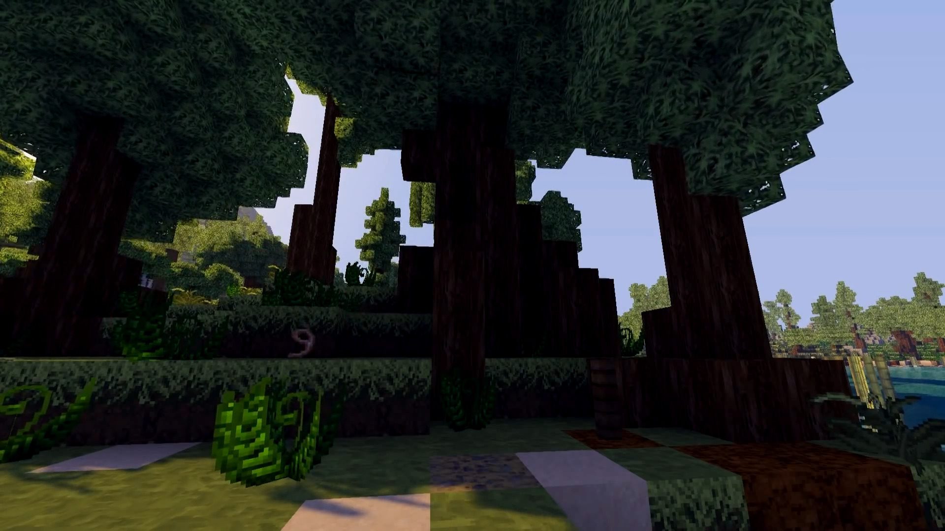 Moray Resource Pack