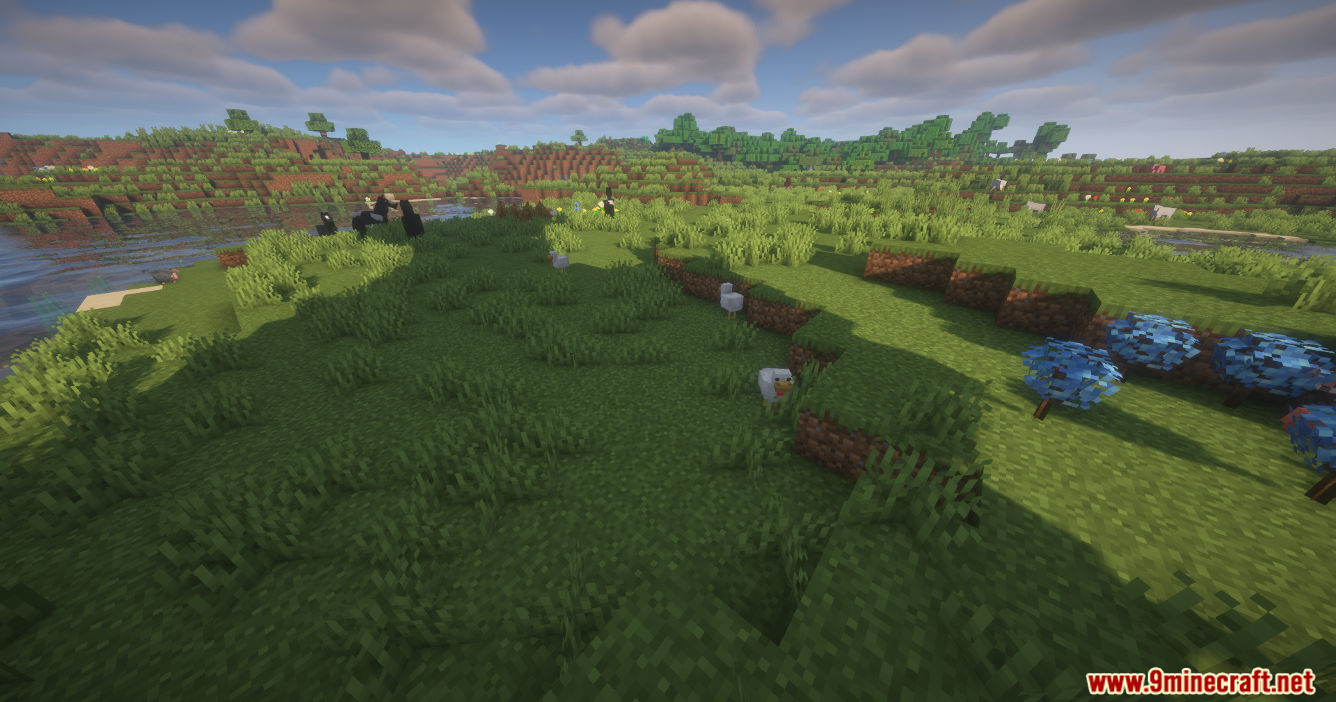 More Radical Trainers SV Data Pack Screenshot 3