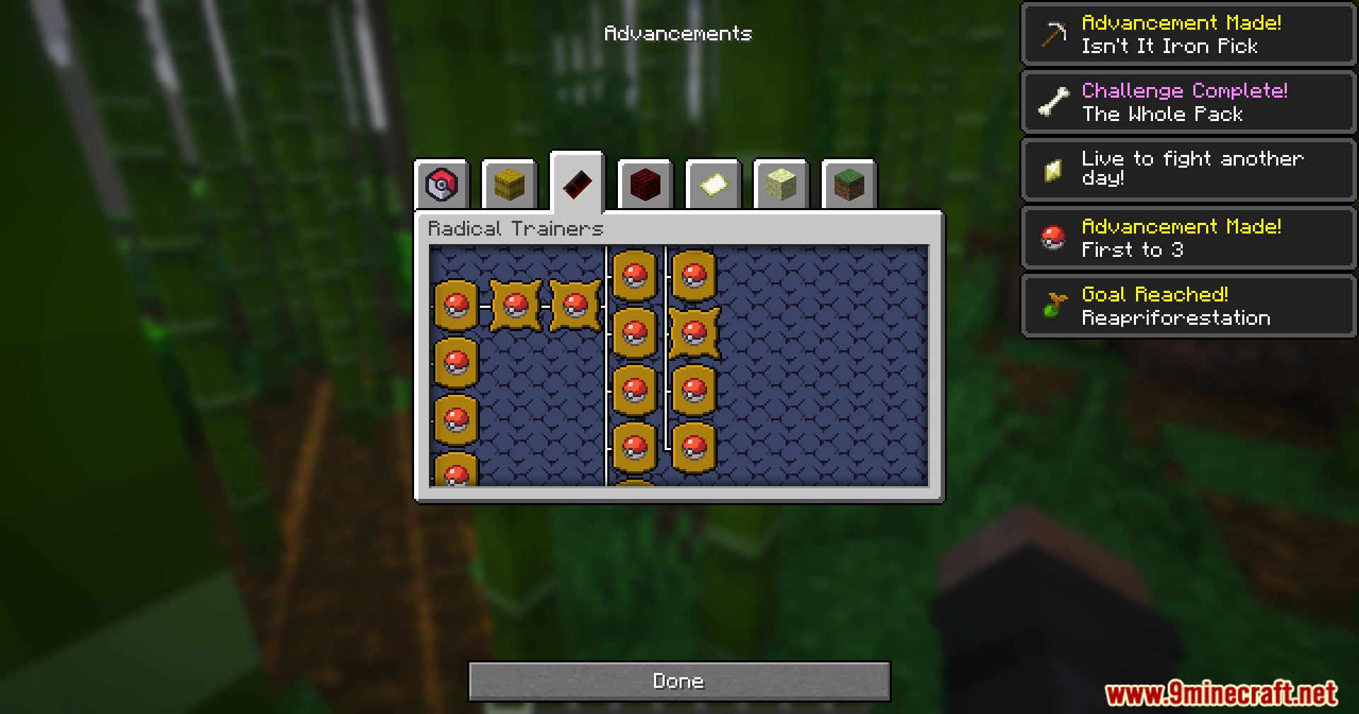 Mrct Localization Data Pack Screenshot 10 Player viewing the Radical Trainers advancements tab with multiple badges