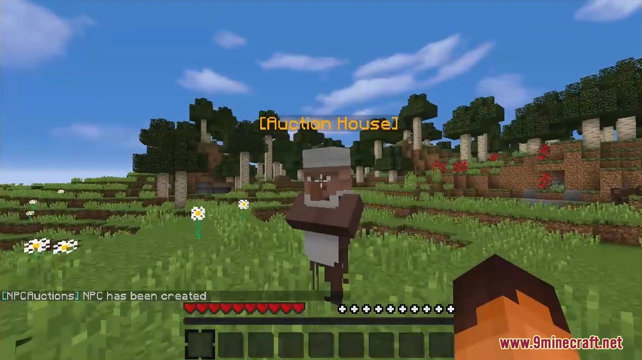 An Auction House NPC villager stands in a field