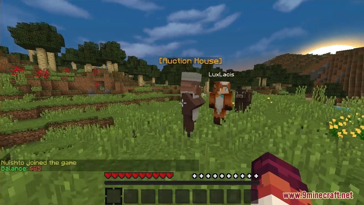 An Auction House villager NPC in a grassy field