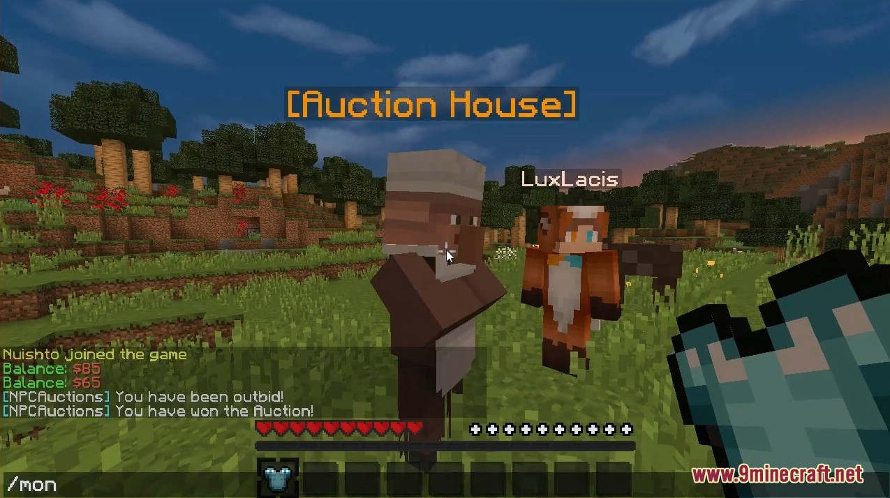 Player interacting with an NPC Auctions villager