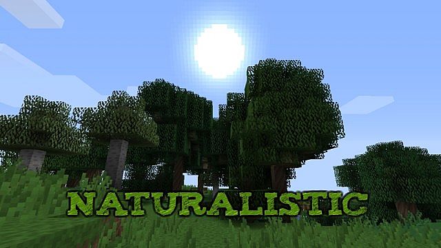 https://img3.9minecraft.net/TexturePack/Naturalistic-texture-pack.jpg