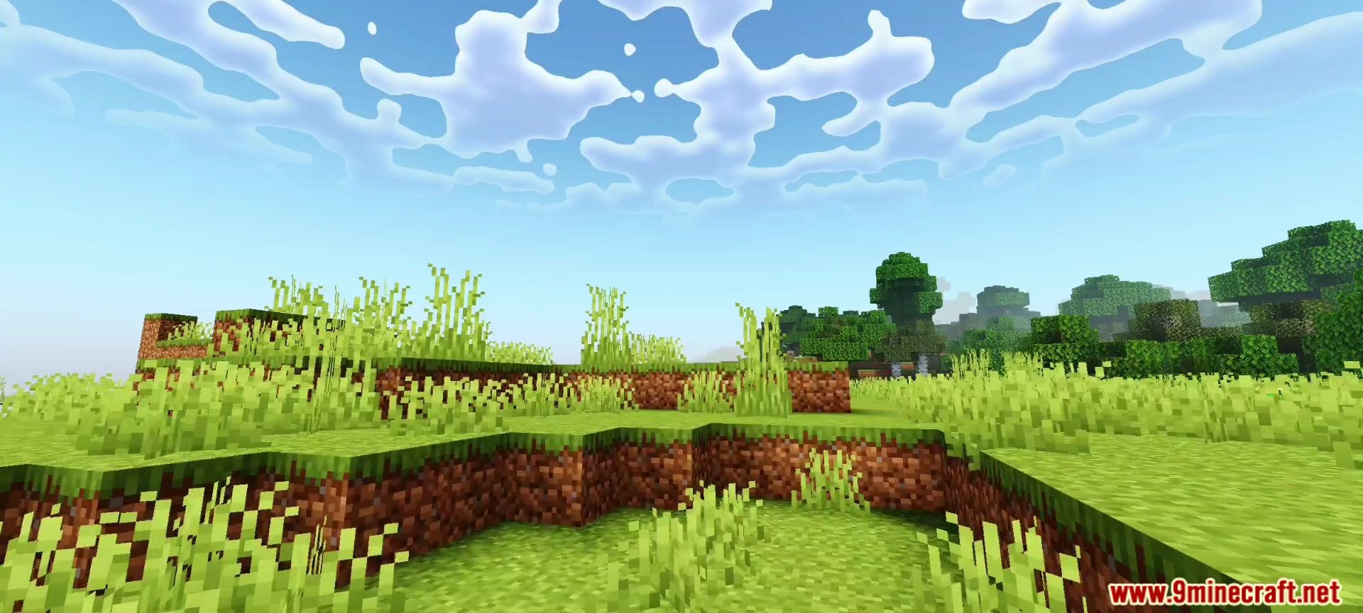 Bright daytime grassy terrain with tall grass and stylized clouds