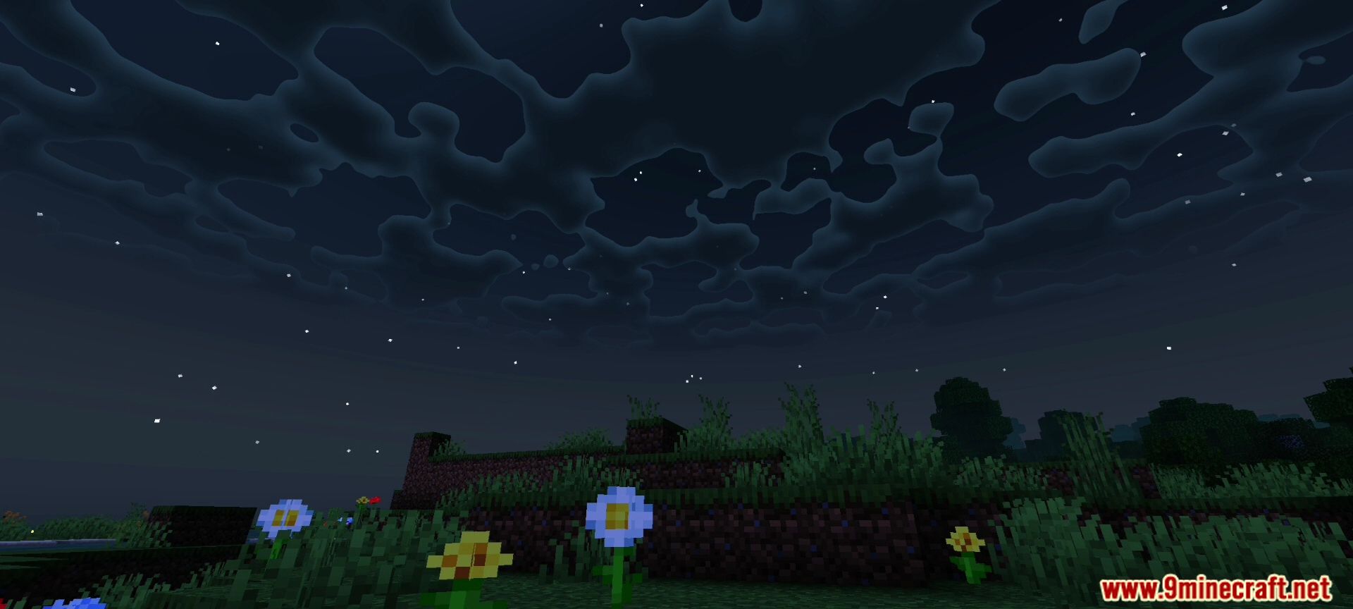 Dark night sky featuring wavy clouds and stars above flowers
