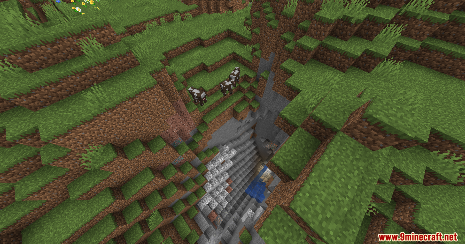 Noisiumed Mod Screenshot 8 Looking down into a deep ravine with cows standing near the edge