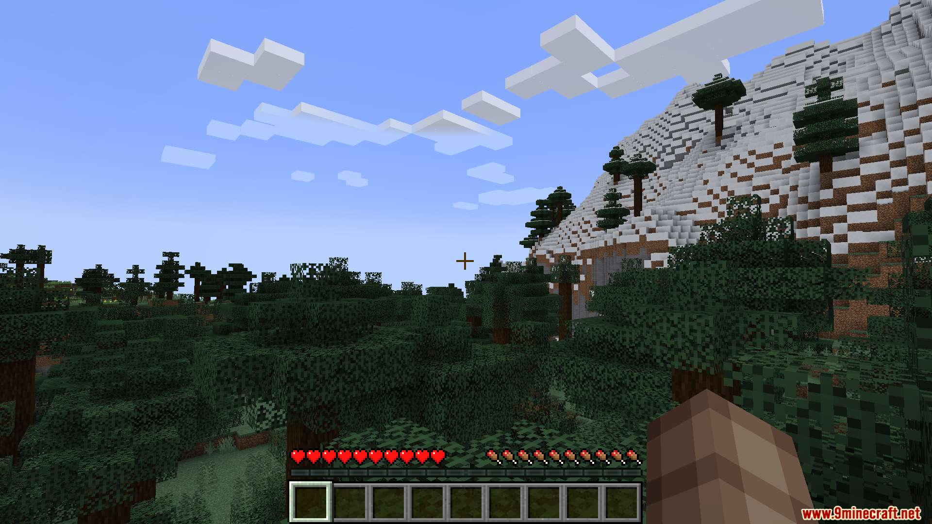 Player looking at a forest and a snowy mountain